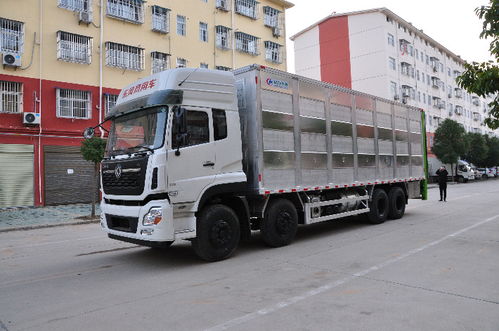 濮陽東風(fēng)天龍前四后八鋁合金畜禽運豬車 高效、安全、專業(yè)的豬仔運輸解決方案