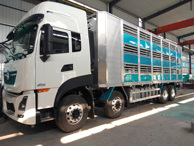 東風(fēng)天龍全鋁合金運(yùn)豬車(chē) 高效、安全、人性化的現(xiàn)代豬仔運(yùn)輸解決方案